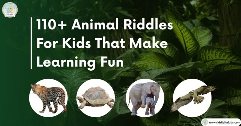 Animal Riddles