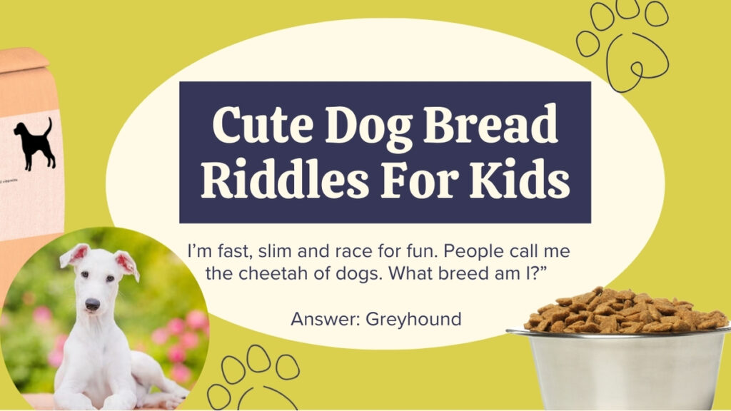 cute dog riddles