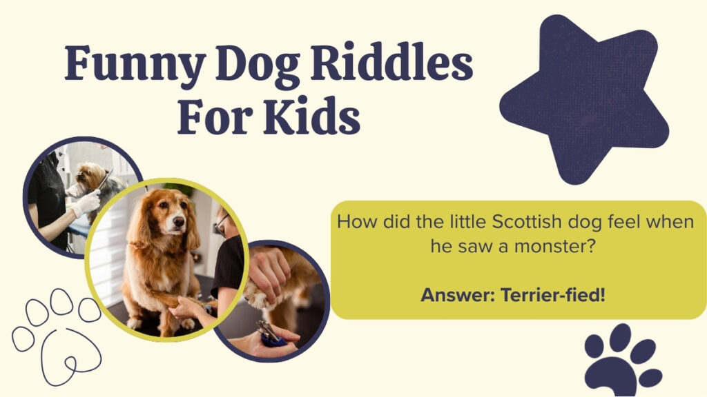 funny dog riddles