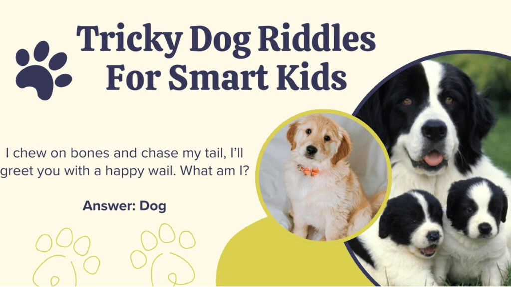 Tricky dog riddles
