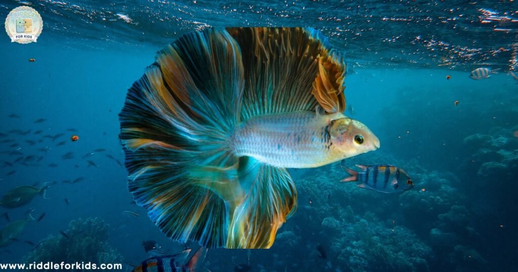 Fish Riddles For Kids