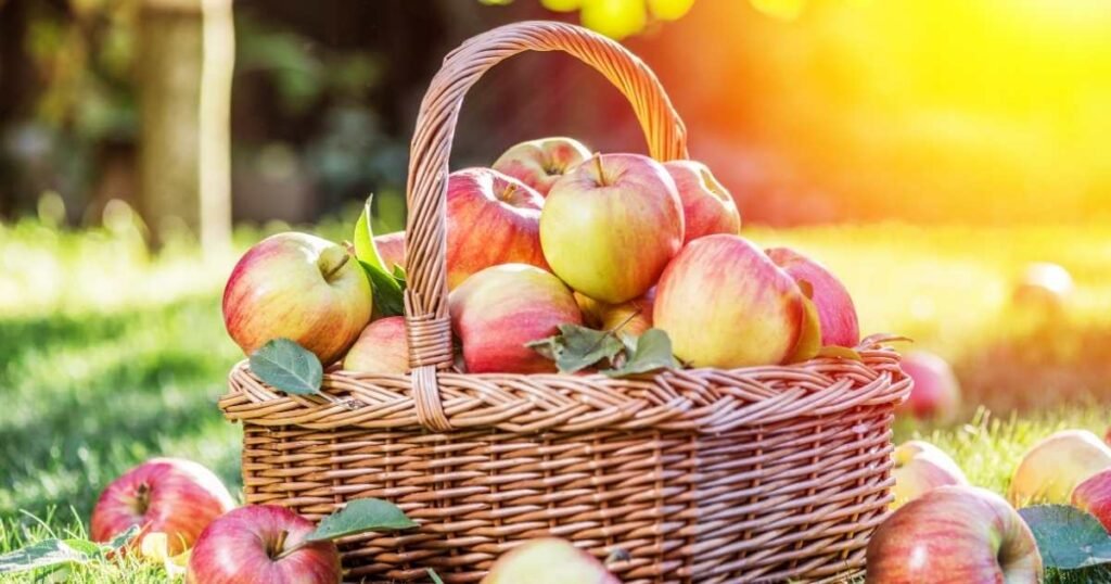 Apple Riddles For Adults