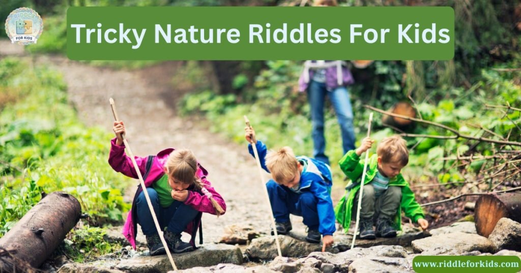Tricky Nature Riddles For Kids