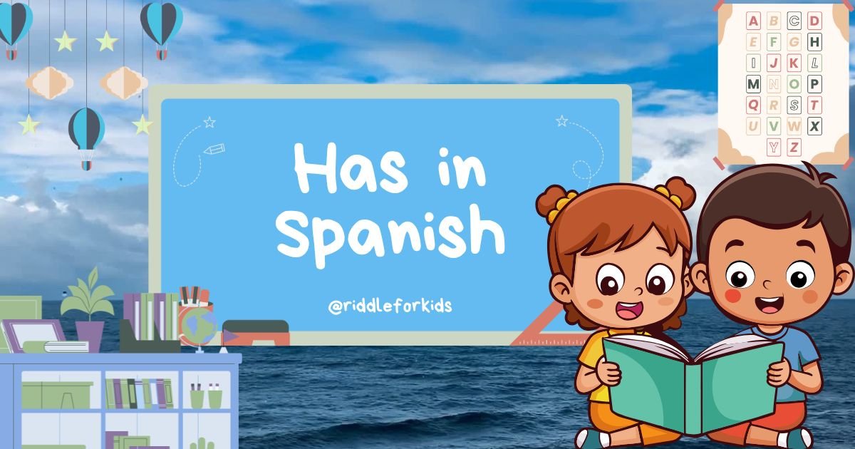 Has in Spanish